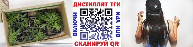 Дистиллят ТГК вейп  наркошоп  Фёдоровский 
