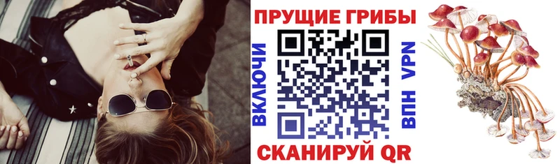 Псилоцибиновые грибы Cubensis Фёдоровский
