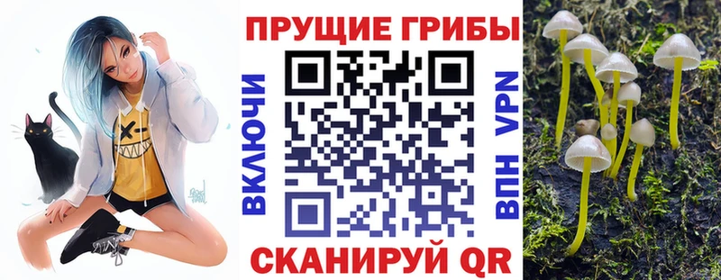 Псилоцибиновые грибы GOLDEN TEACHER  купить   Фёдоровский 